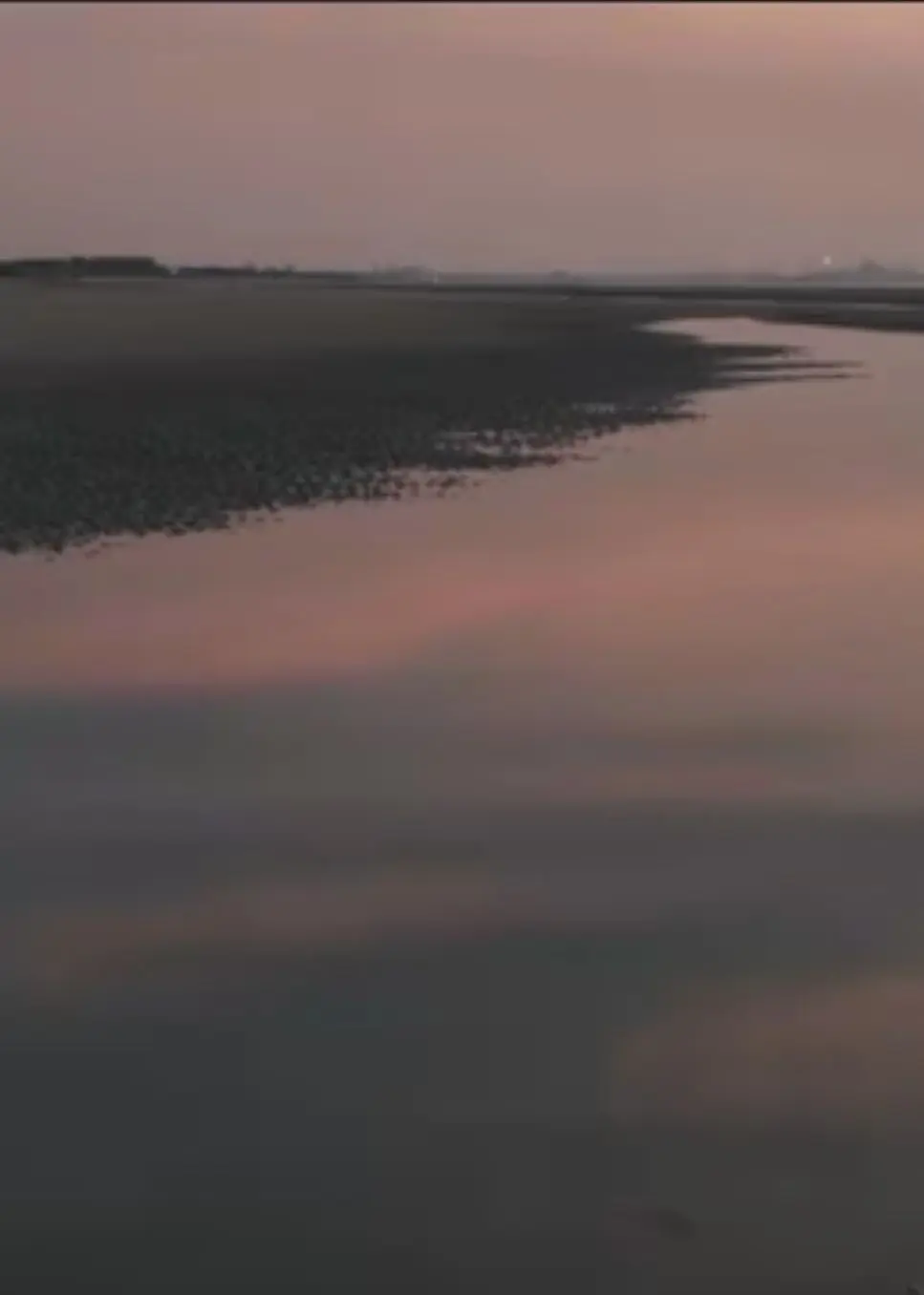 两个爸爸的故事​