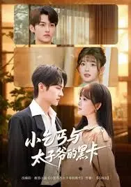 小乞丐与太子爷的黑卡