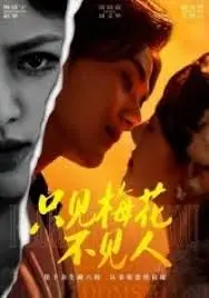 只见梅花不见人