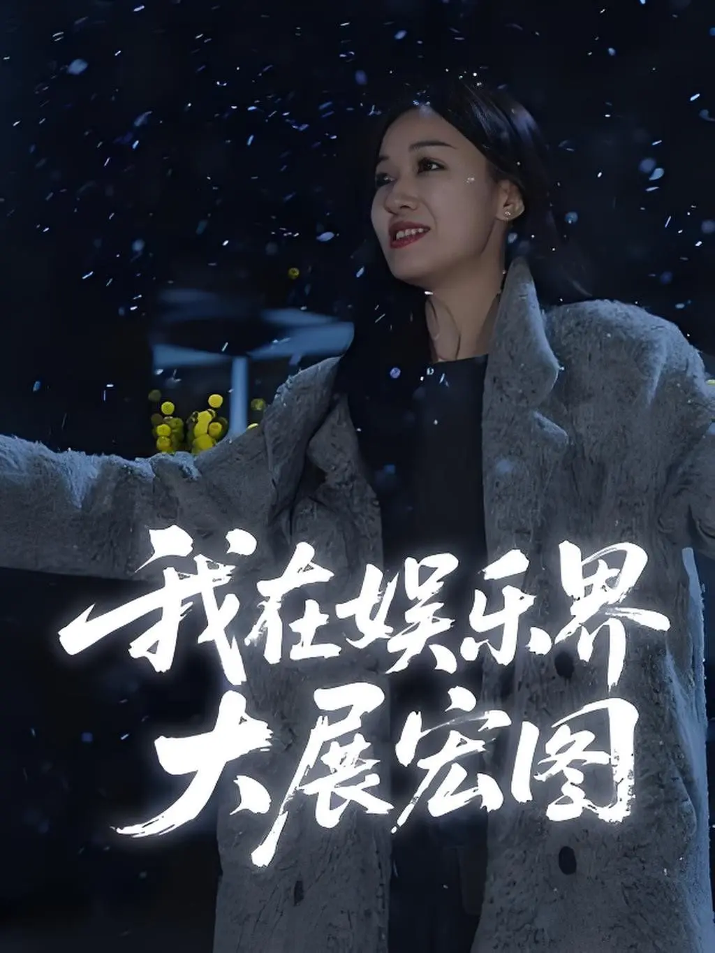 娱界掌舵人（我在娱乐界大展宏图）