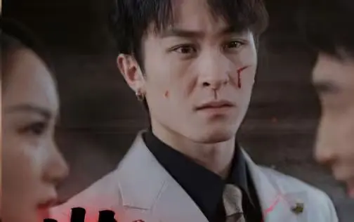 巅峰奶爸的寻妻路