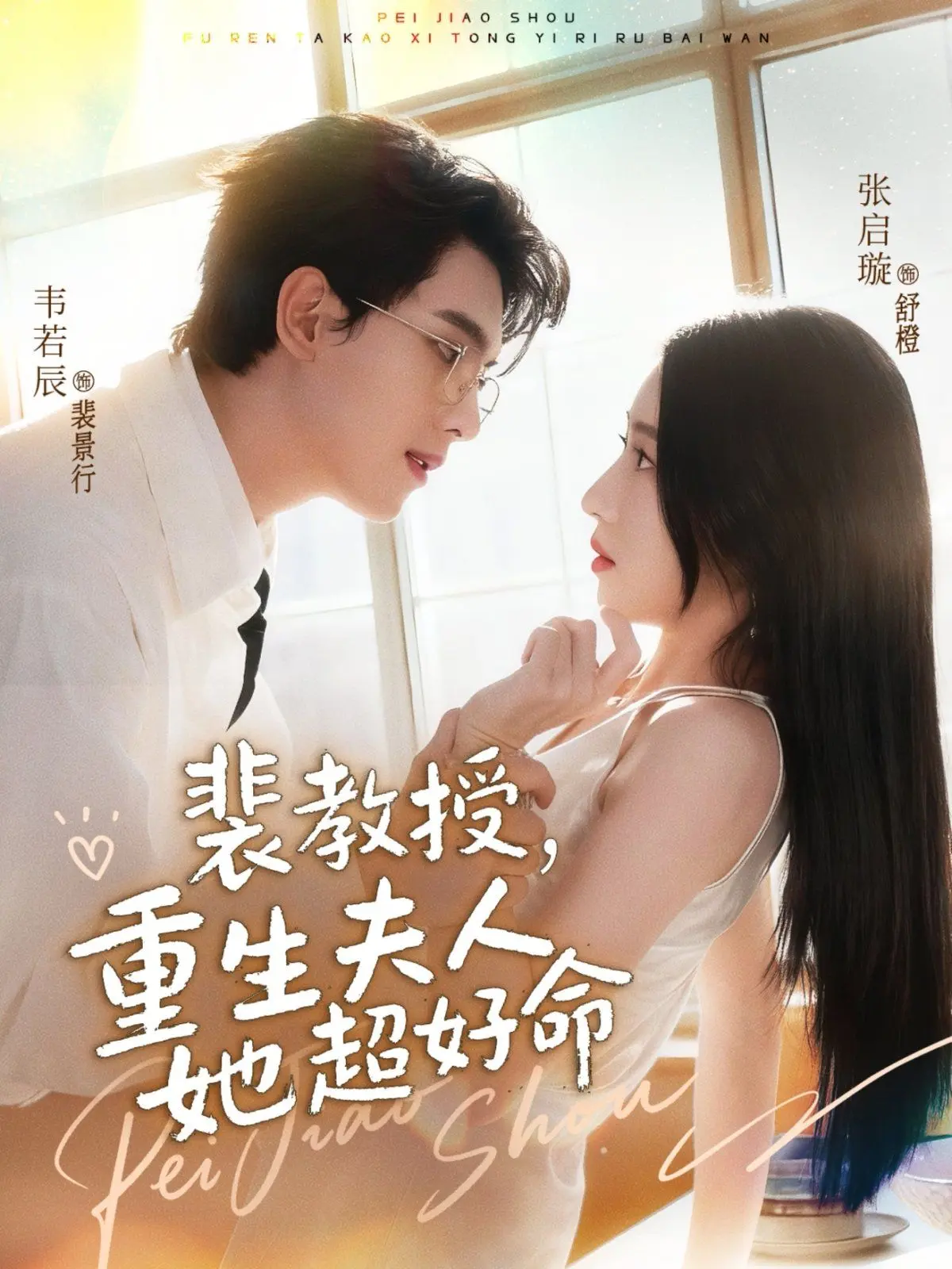 裴教授,重生夫人她超好命