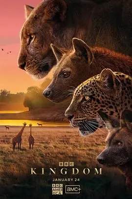 动物王国(普通话版)