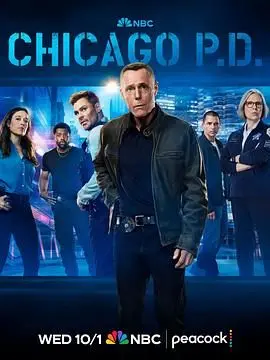 芝加哥警署 第十三季