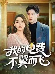 我的电费不翼而飞