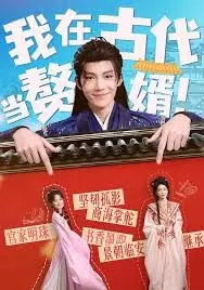 我在古代当赘婿