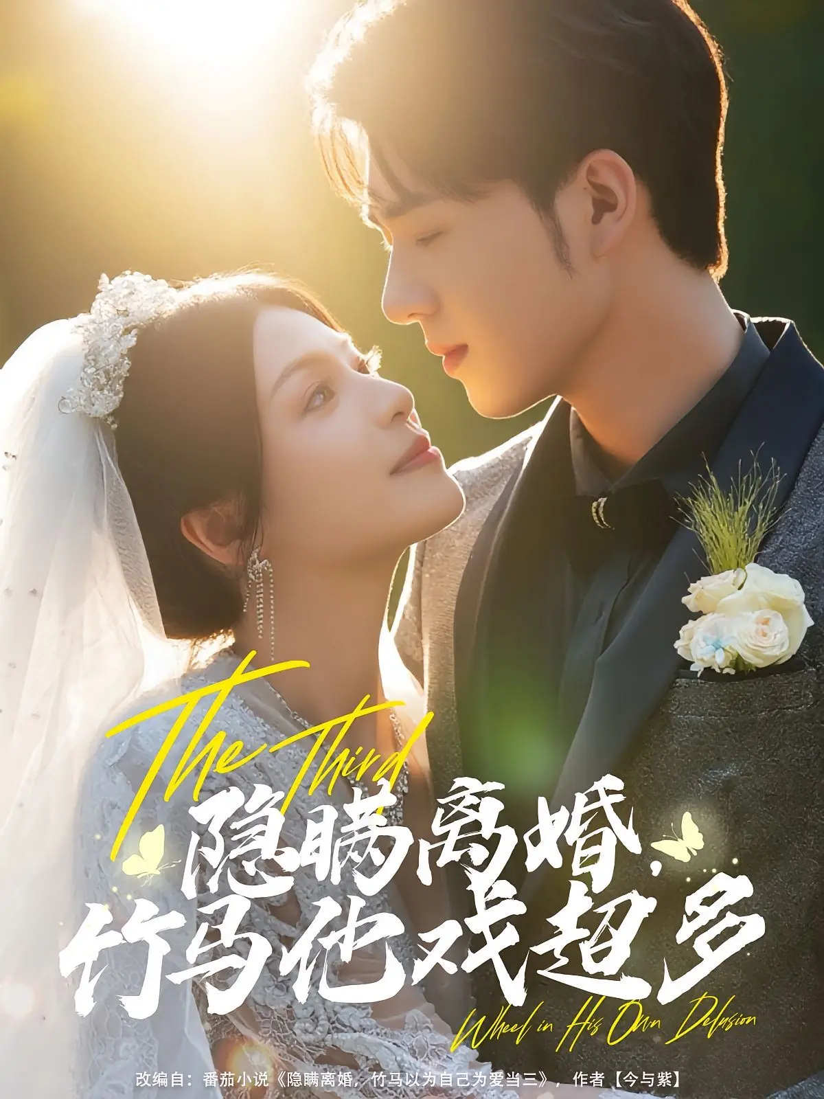 隐瞒离婚竹马他戏超多