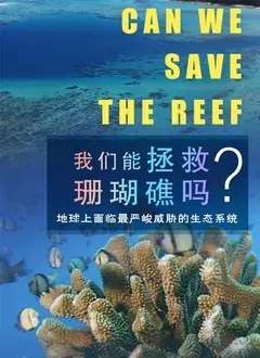 我们能拯救珊瑚礁吗