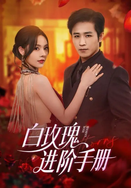 白玫瑰进阶手册