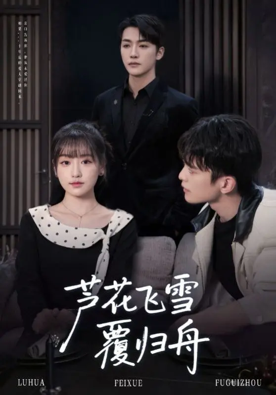 芦花飞雪覆归舟